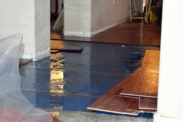Professional Burst Pipe Cleanup technician working in Clinton, IA